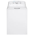 4.4 cu. ft. stainless steel capacity washer GTW490ACJWS
